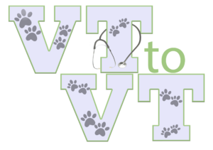 VetTechToVetTeam.com Logo